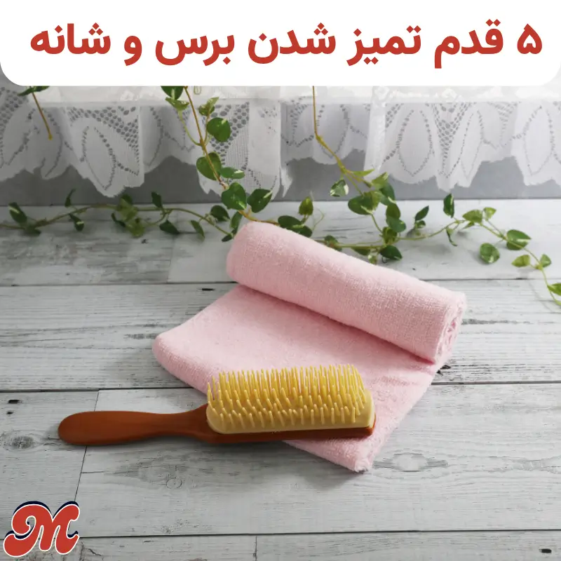 clean hairbrush
