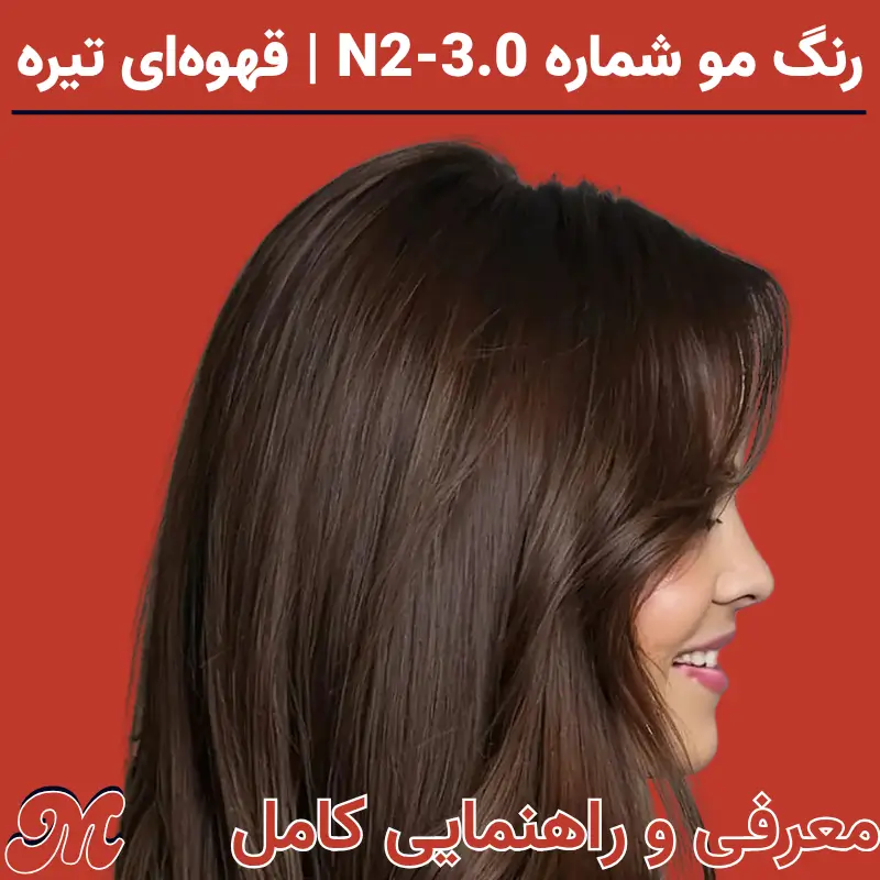 رنگ مو شماره N2-3.0