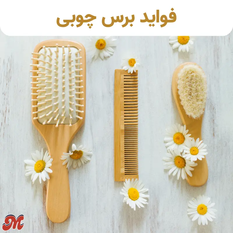 مزایای برس چوبی