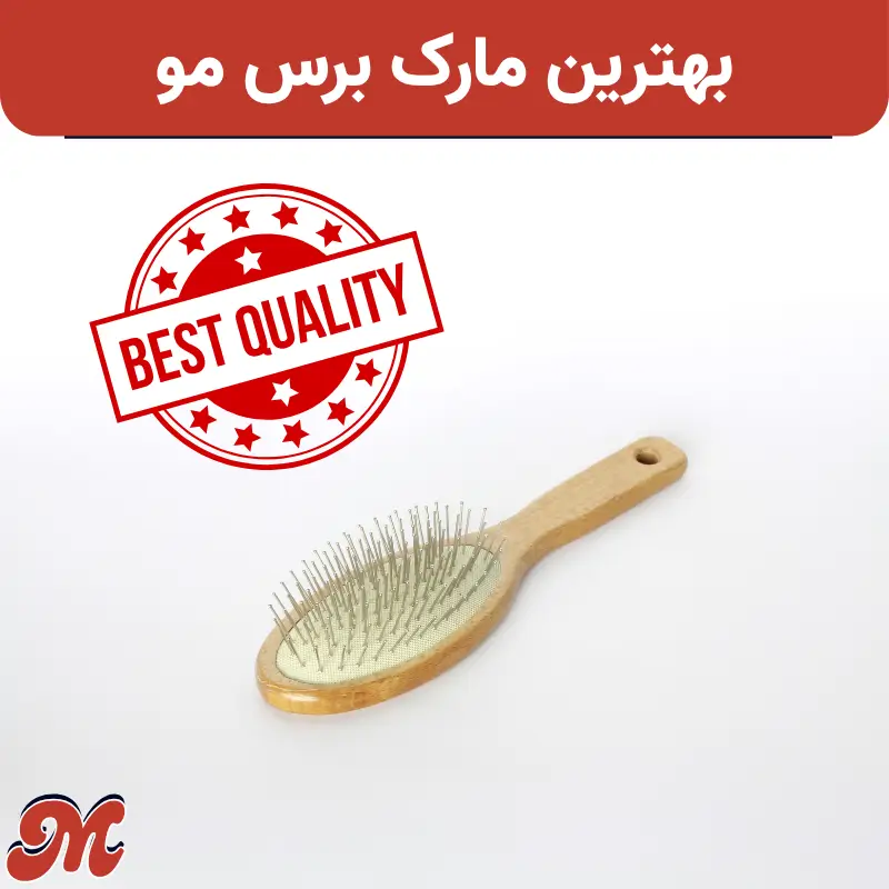 بهترین مارک و برند برس مو