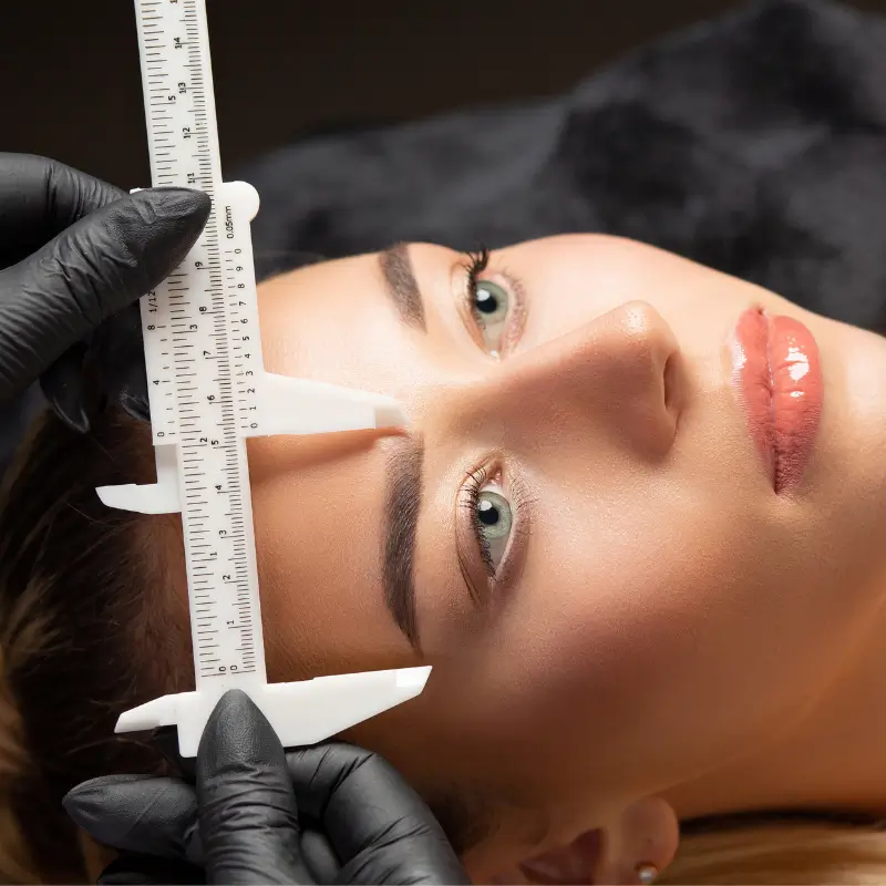 Perfect eyebrows guide