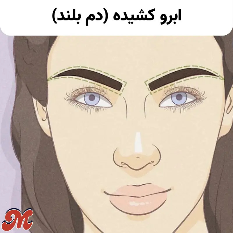 ابرو کشیده دم بلند