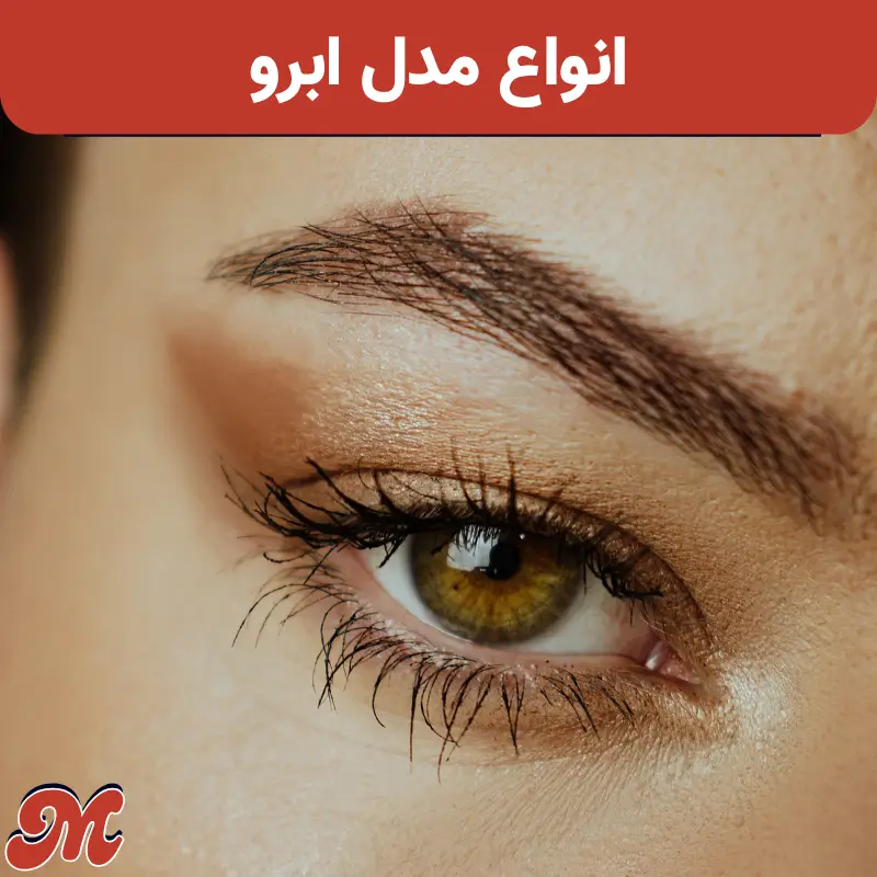 انواع مدل ابرو