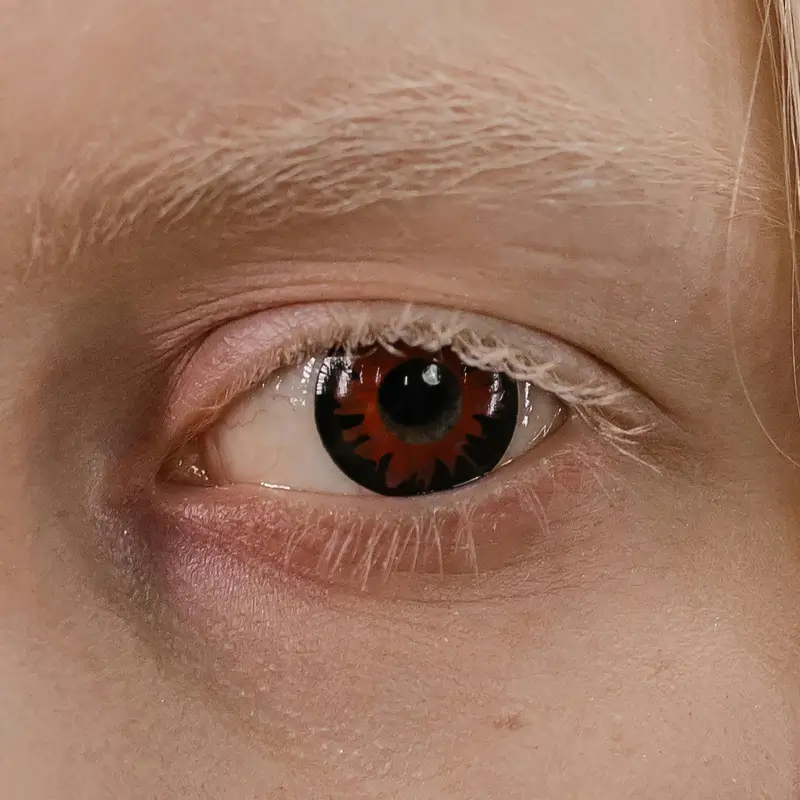 مقایسه لنز فصلی و دائمی