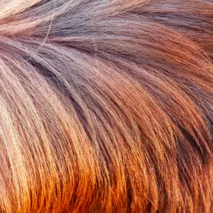 روتین مراقبت از موهای پرپشت برای حفظ سلامت و درخشش