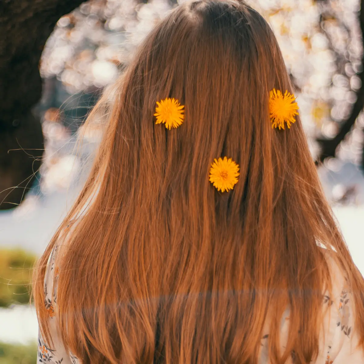 روتین مراقبت مو ها