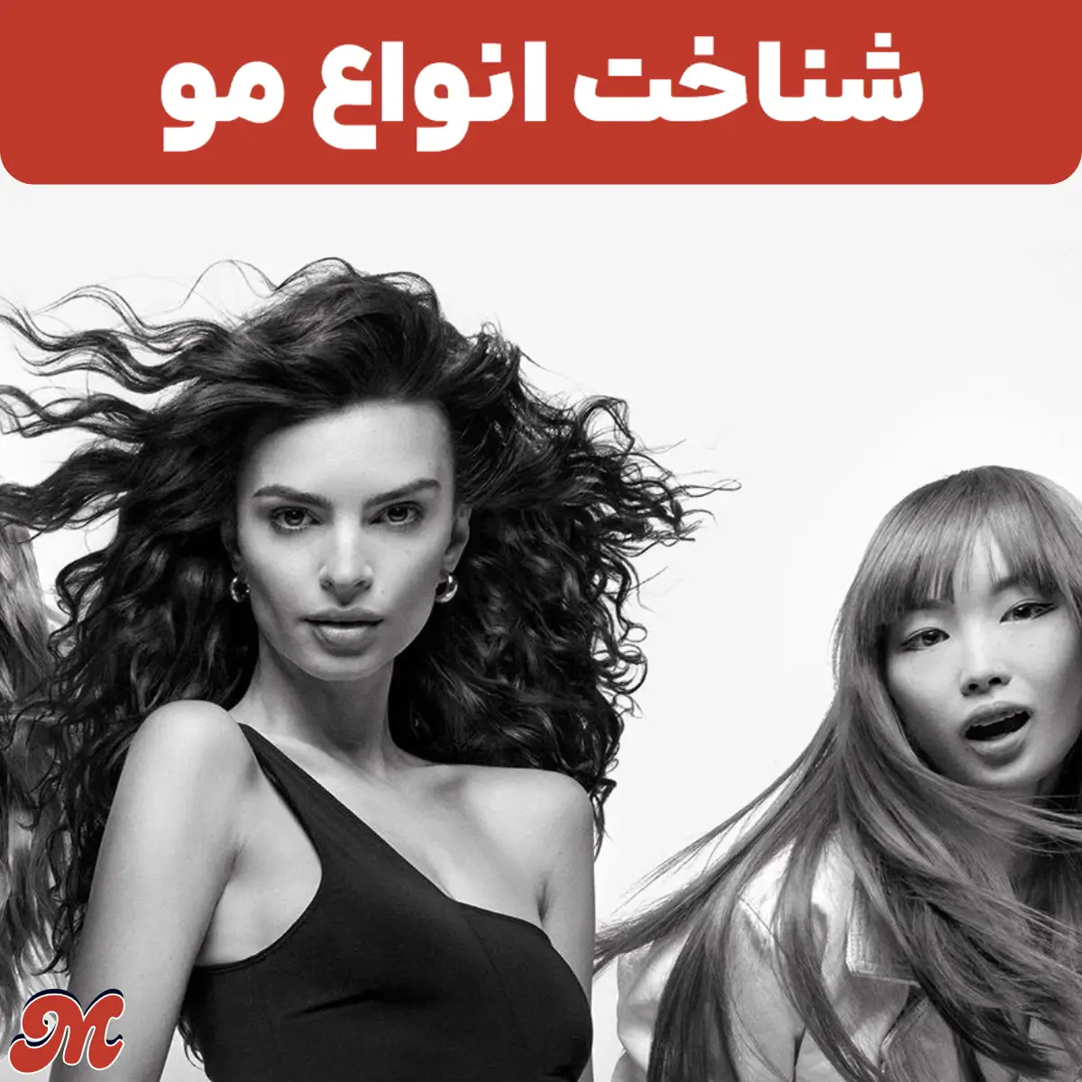 شناخت انواع مو به همراه روش های تشخیص آن