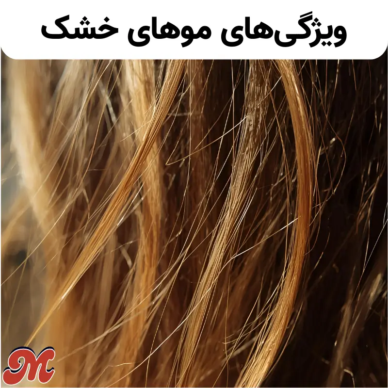 ویژگی های موهای خشک